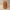 Can Cannon Projectiles - 66mm