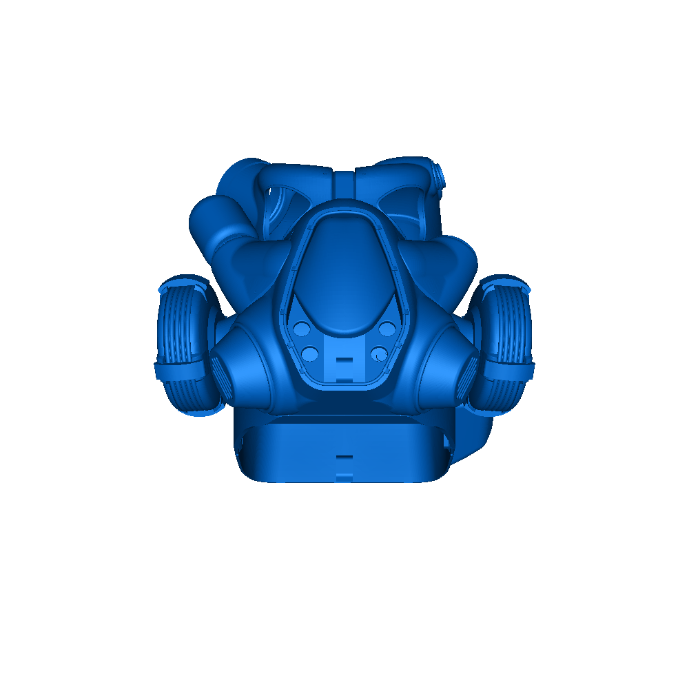 T51 mask