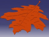 Oak leaf-1