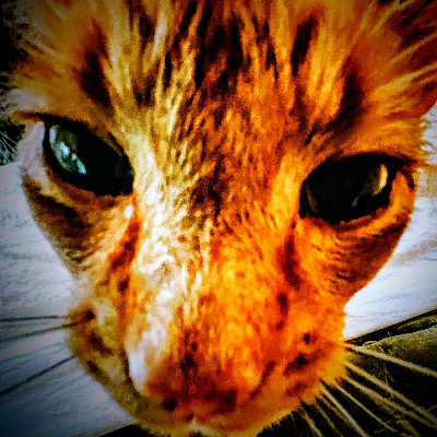 avatar of MilesWright