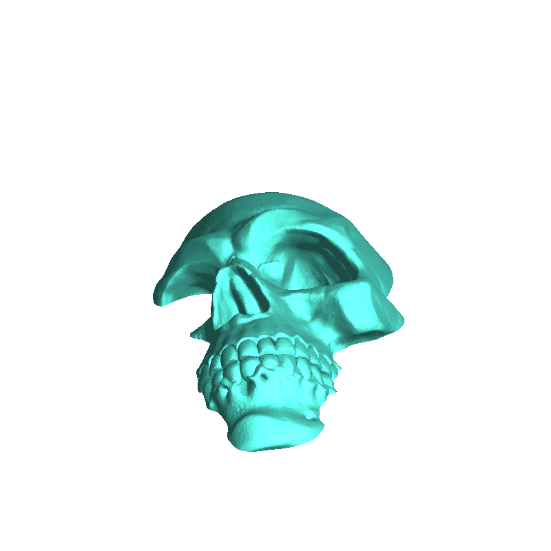 Skull for walls