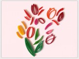 Flowers tulips-2