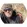 user3309421644