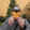 avatar of L1NCO1N