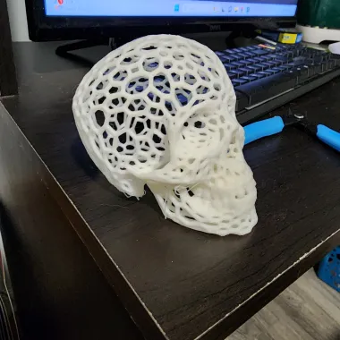 Voronoi-style Skull with no supports-0