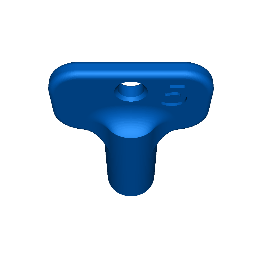 Radiator Ventilation Screw