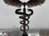 caduceus-1