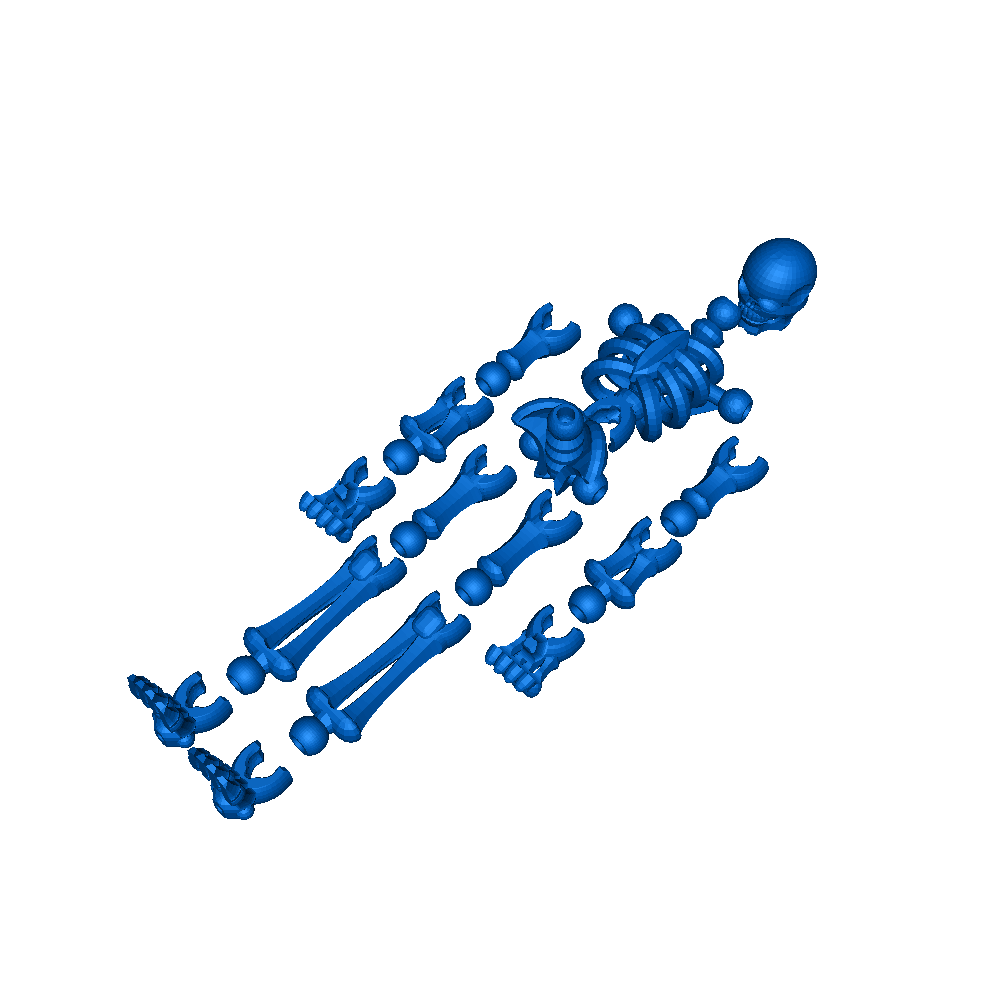 flexible_skeleton 