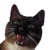 avatar of DangDickle