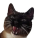 avatar of DangDickle