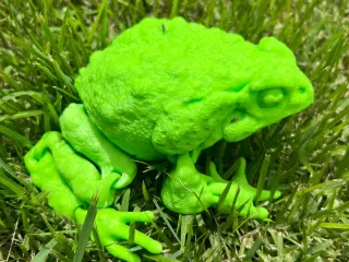 Frog