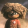 avatar of R5FO