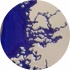 avatar of user1743025666