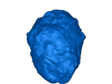 Mars Rock -0