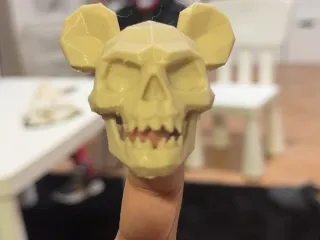 mouse skull