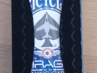 card protector