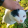 avatar of Pouetpouet