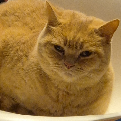 avatar of roberto_meloni