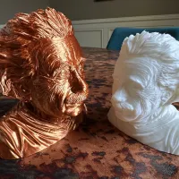 Albert Einstein Support Free-2