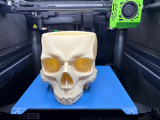 skull planter / bowl-3