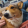 avatar of JayKeebs78
