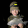 avatar of Eben de Kock