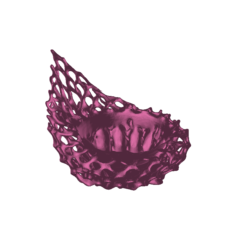 Voronoi Wing Bowl — Sculptural Organic Basket