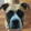 avatar of VannerWoo