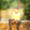 avatar of Maher  98
