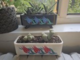 Planter-2