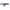 SMG