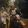 avatar of SpecialEd74
