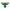 Menorah