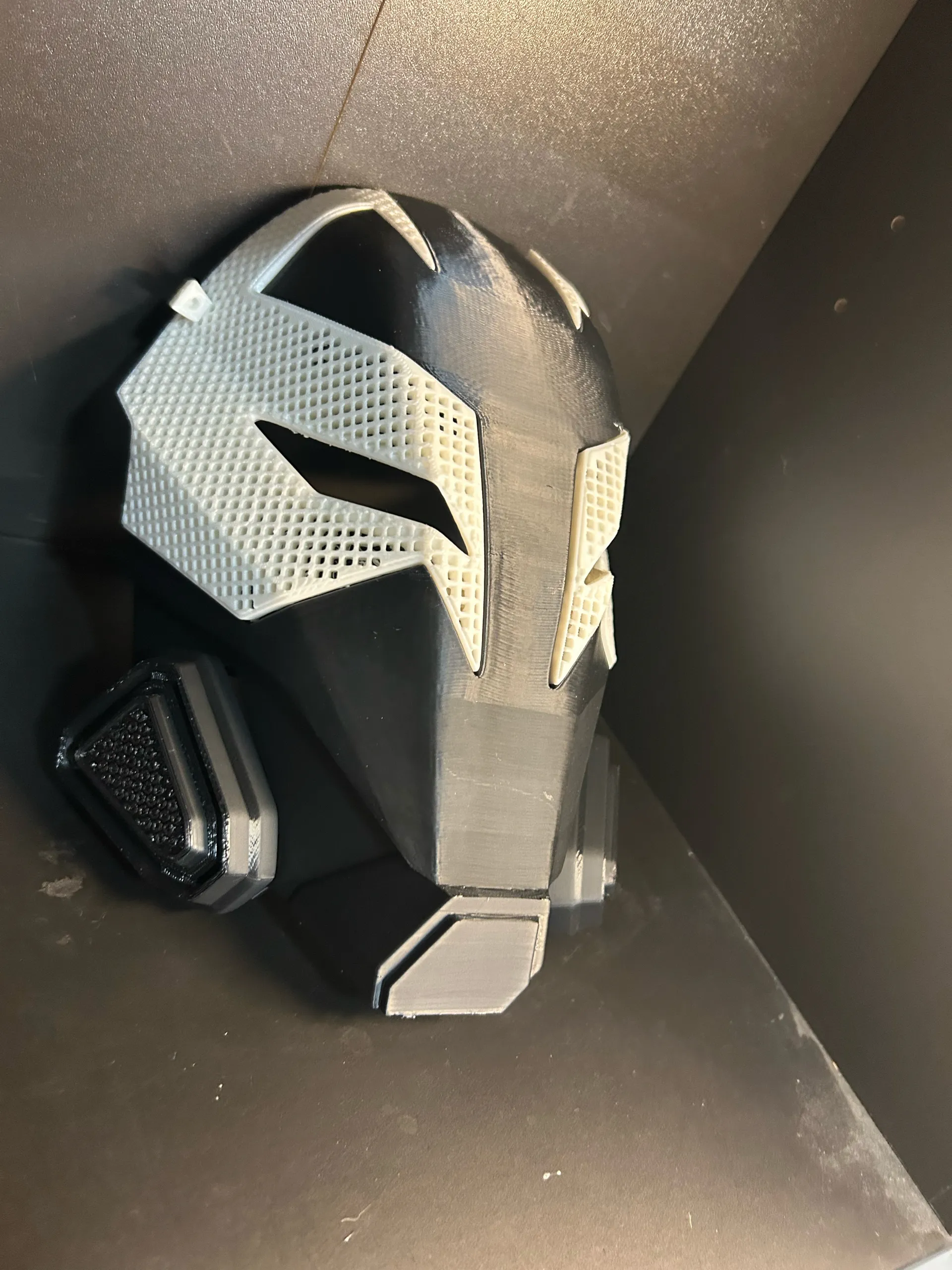 Prowlers helmet-1