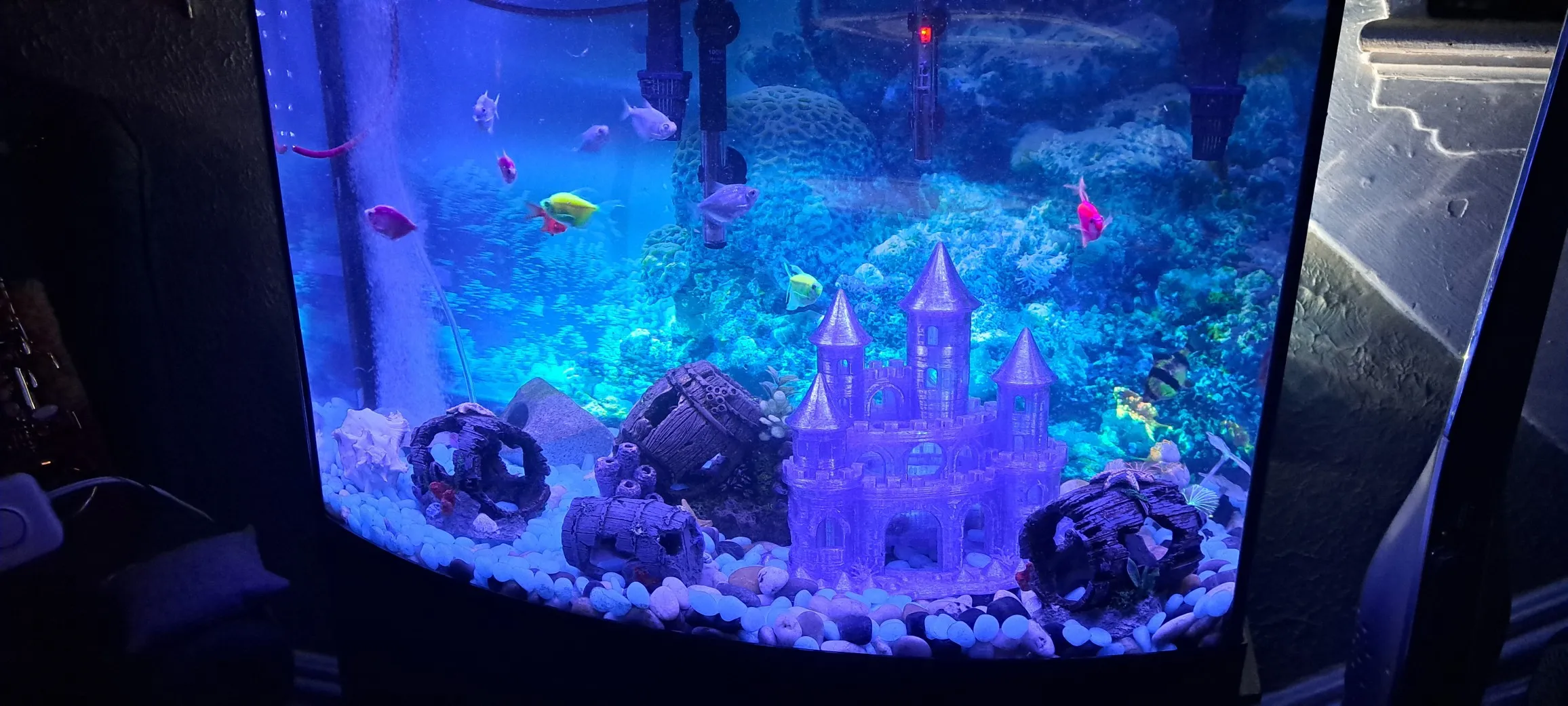 Aquarium Fish House-3