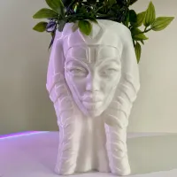 AHSOKA FLOWER POT-STAR WARS-5