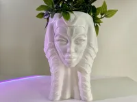 AHSOKA FLOWER POT-STAR WARS-5