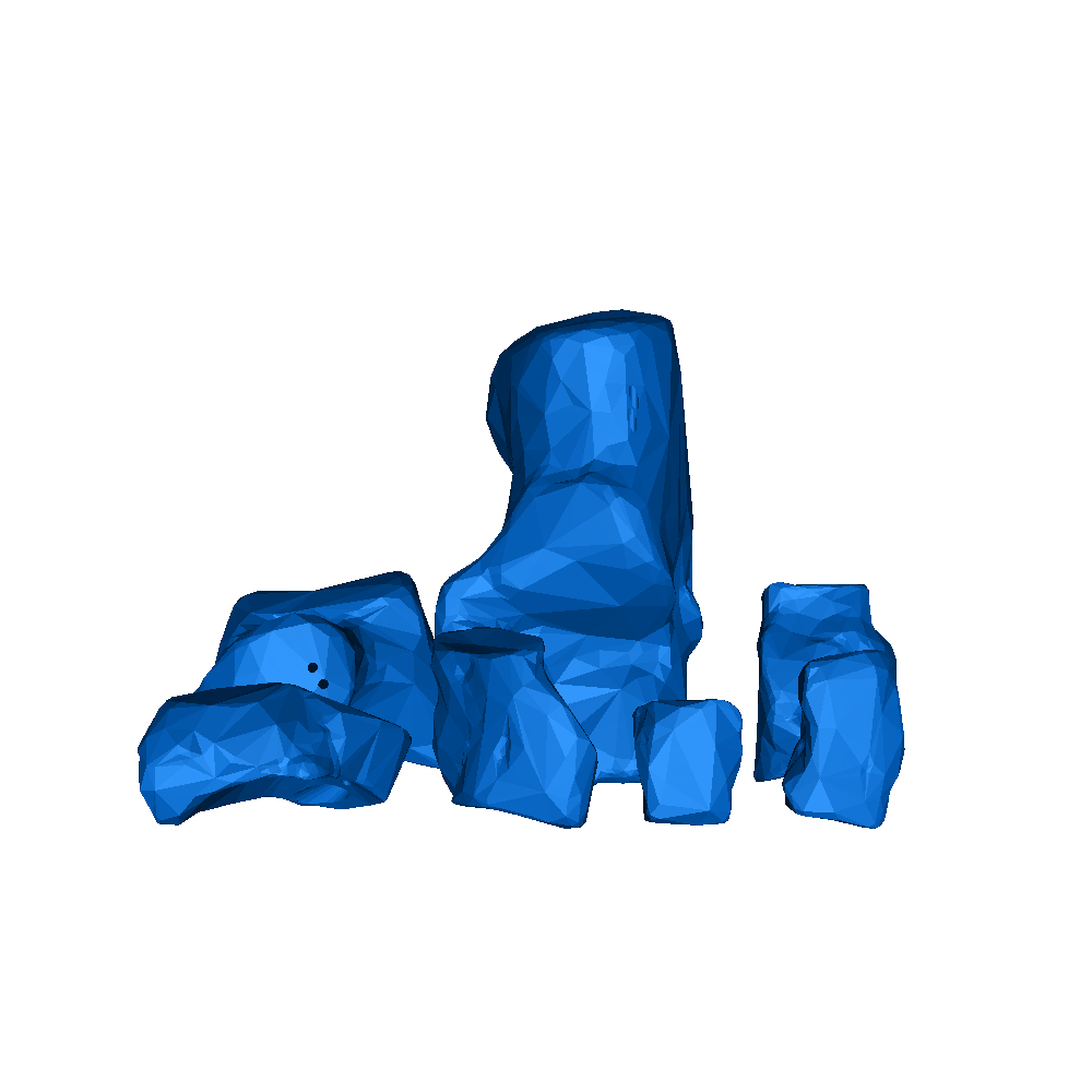 Anatomical skeletal foot-full articulating by feebleson