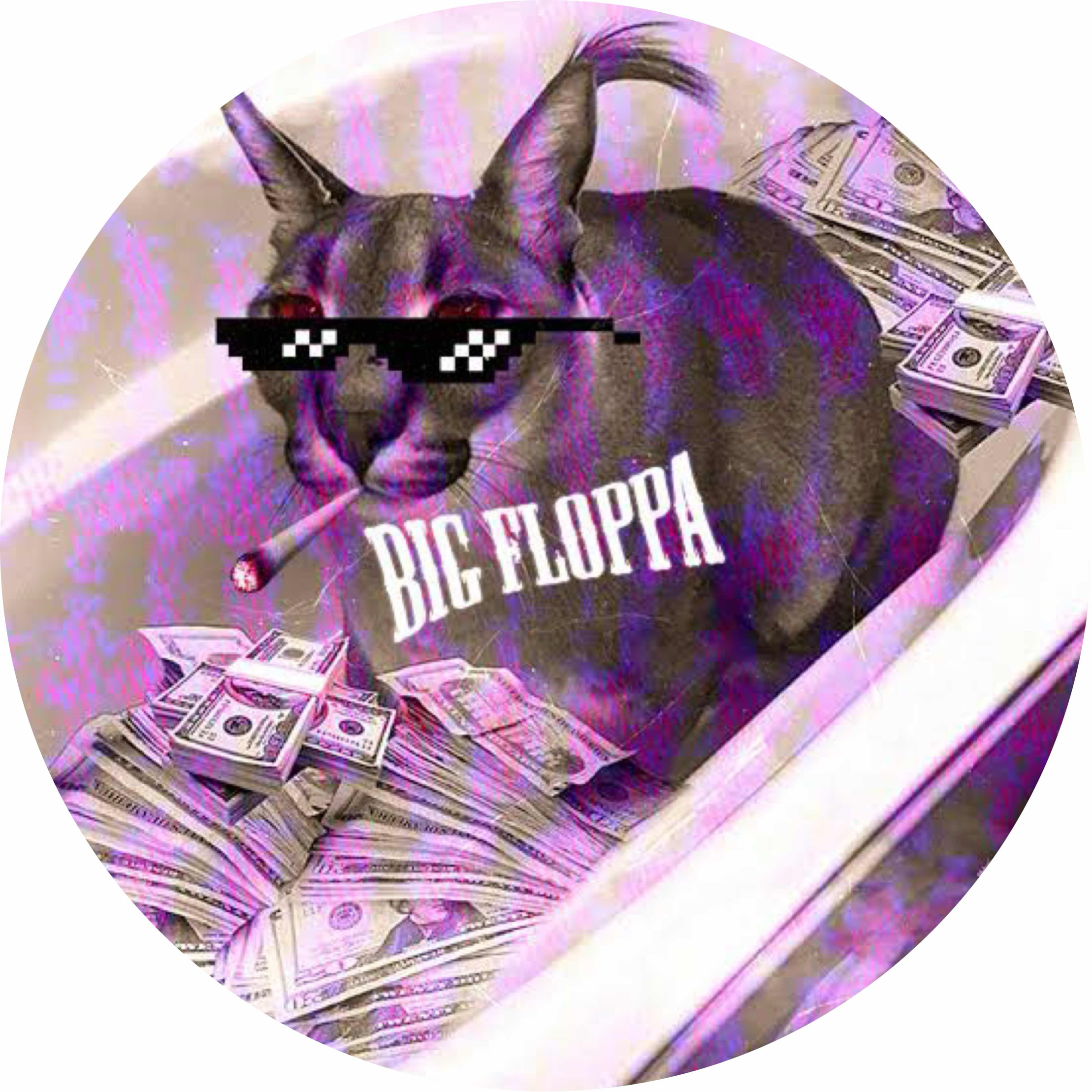 avatar of MrFloppa