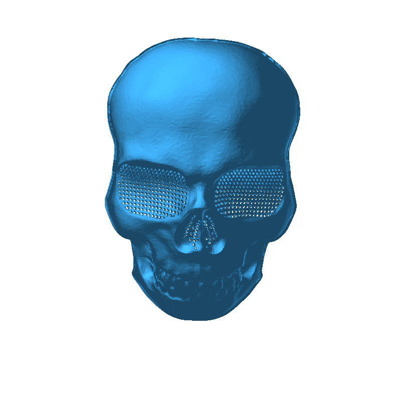 Skull mask