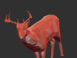 deer-2