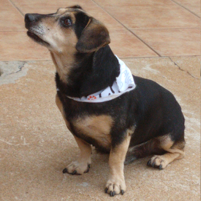 avatar of Evandro C Morin