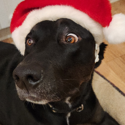 avatar of planter printer