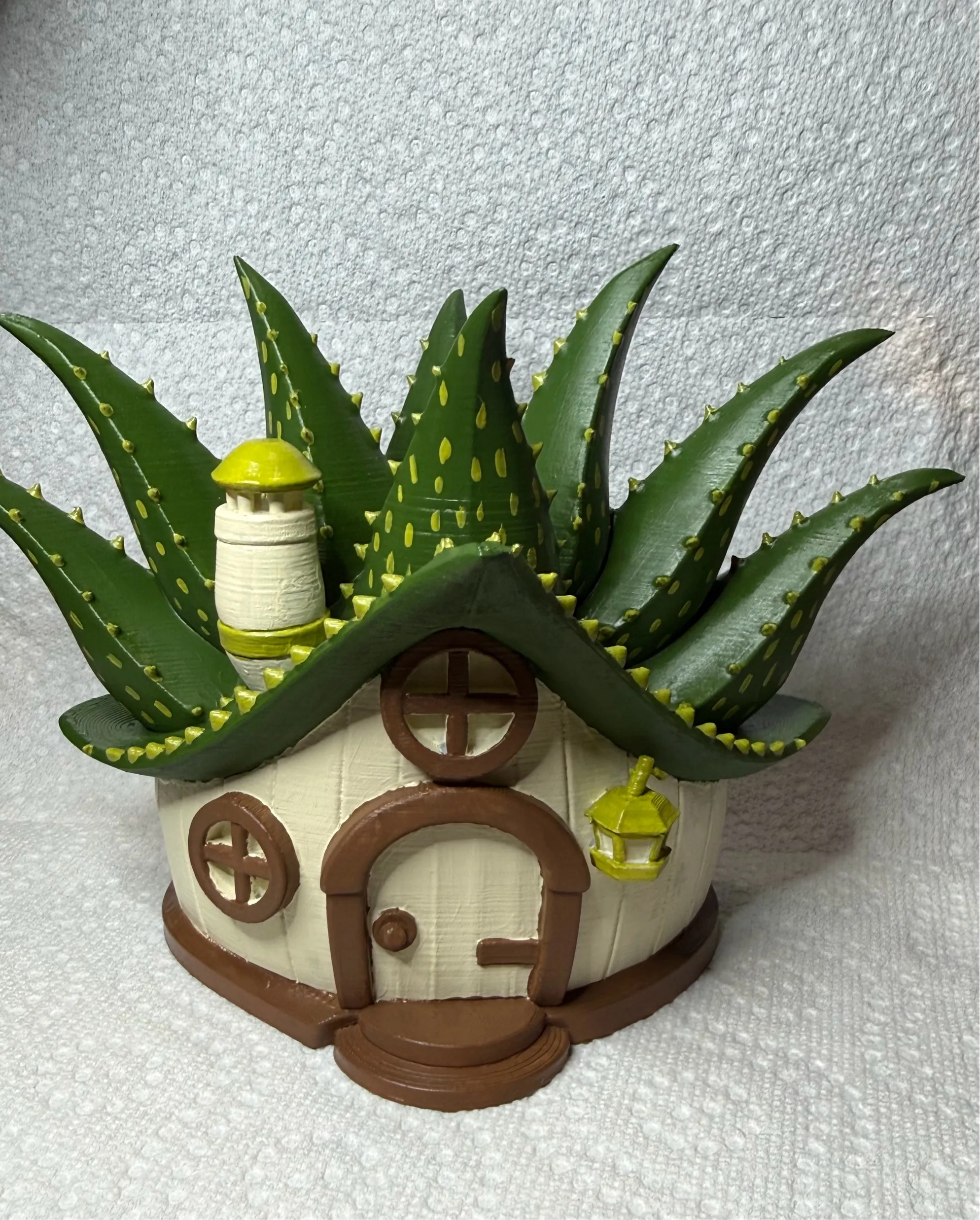 Aloe Fairy House-0