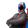 avatar of Mr Deed