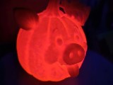 Pumpkin PIG-5