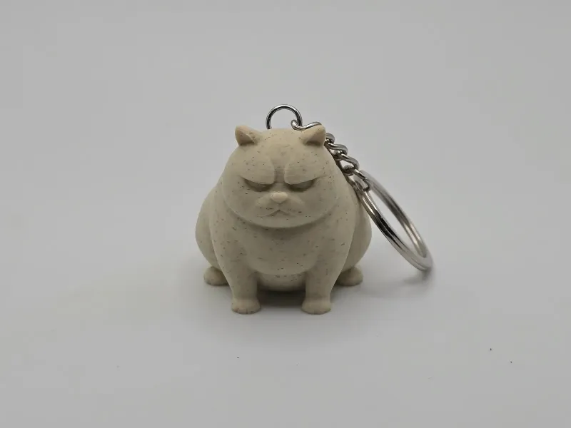 Porte-clés Grumpy Cat (Remix)