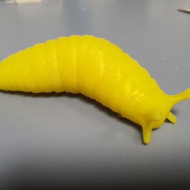 Flexi Slug-1
