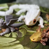The Baby Dragon-0