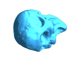 Small Skull-0